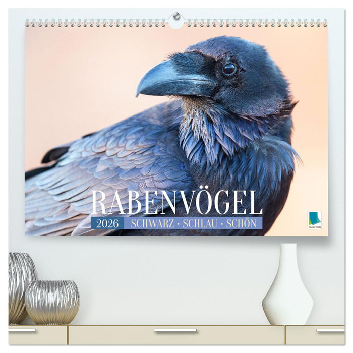 Rabenvögel: Schwarz, schlau, schön (CALVENDO Premium Wandkalender 2026)