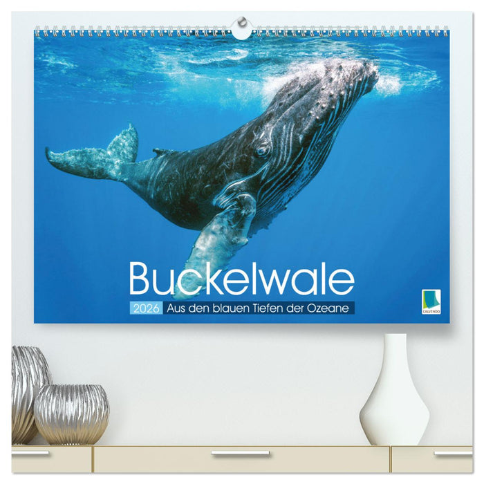 Buckelwale: Aus den blauen Tiefen der Ozeane (CALVENDO Premium Wandkalender 2026)