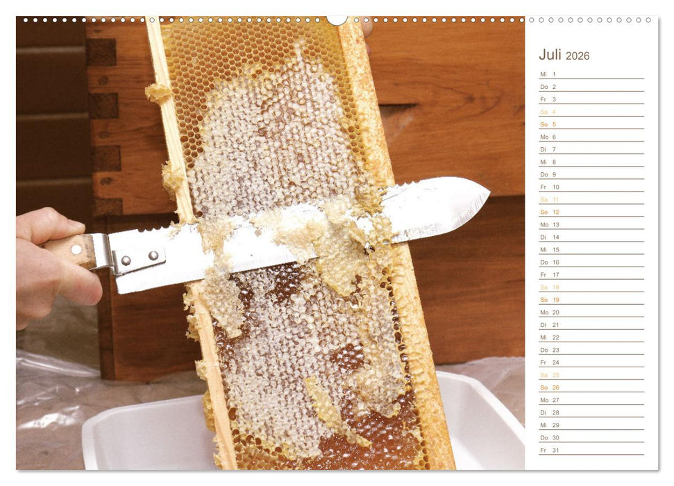 Süßes Gold: Imker, Bienen & Honig (CALVENDO Premium Wandkalender 2026)
