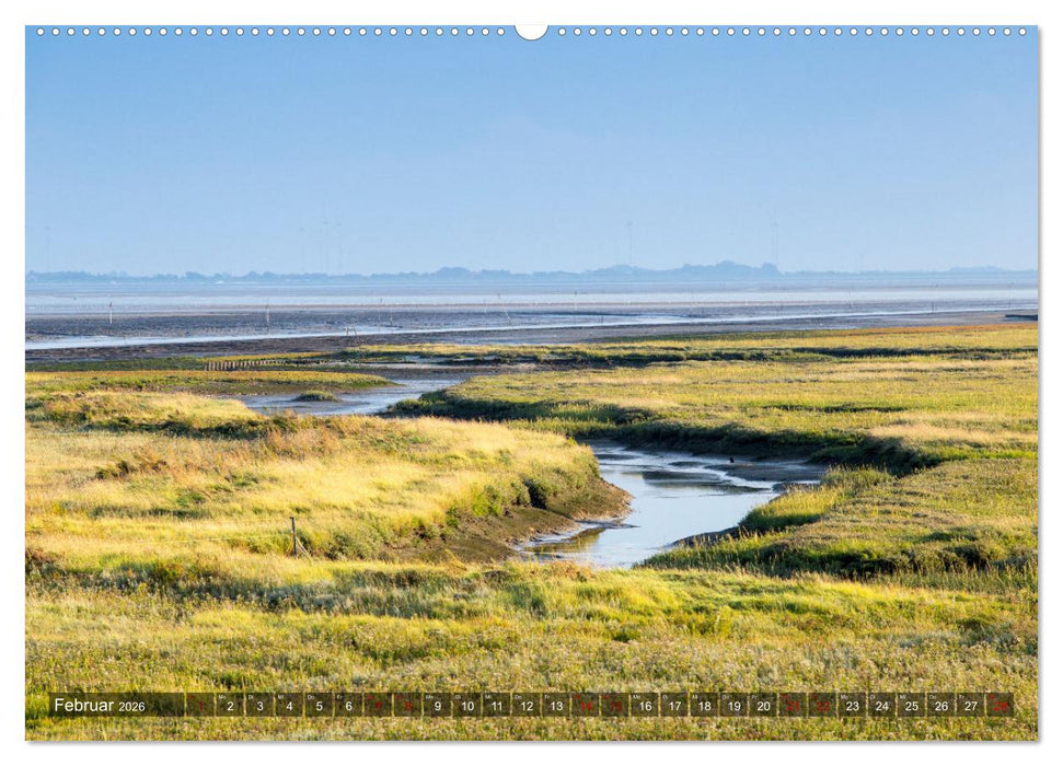 Ostfriesische Inseln - Borkum, Norderney, Juist, Baltrum, Langeoog, Spiekeroog, Wangerooge (CALVENDO Wandkalender 2026)