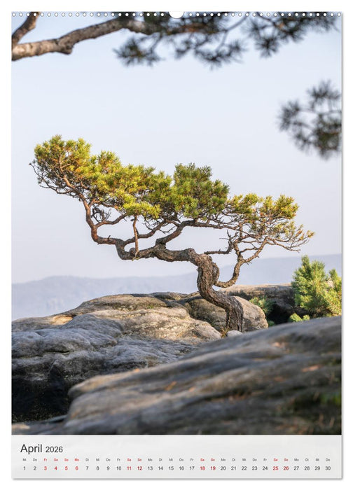 Bastei und Lilienstein - Unterwegs an zwei märchenhaften Orten in der Sächsischen Schweiz (CALVENDO Premium Wandkalender 2026)