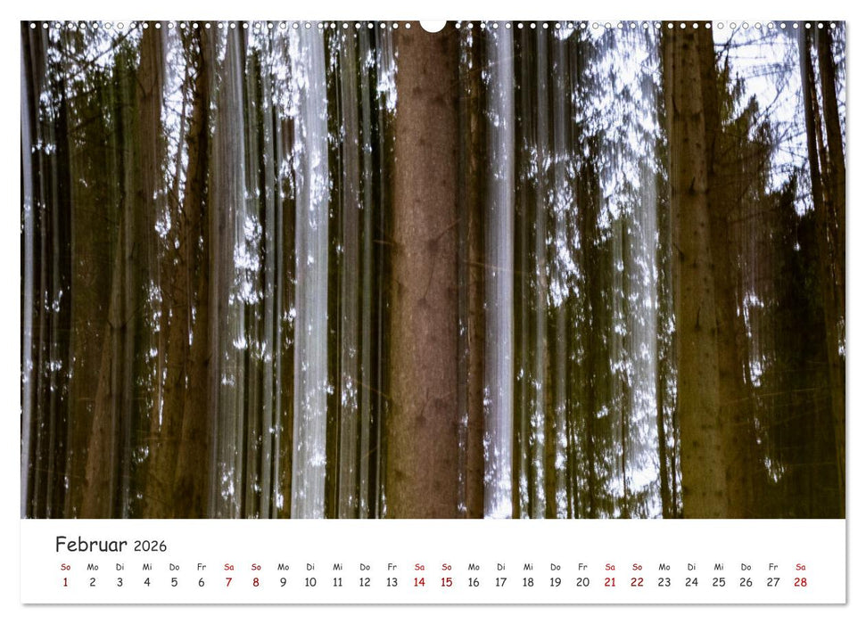Abstrakte Naturerlebnisse - ICM (Intentional Camera Movement) Fotografie (CALVENDO Wandkalender 2026)
