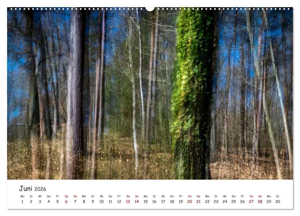 Abstrakte Naturerlebnisse - ICM (Intentional Camera Movement) Fotografie (CALVENDO Wandkalender 2026)