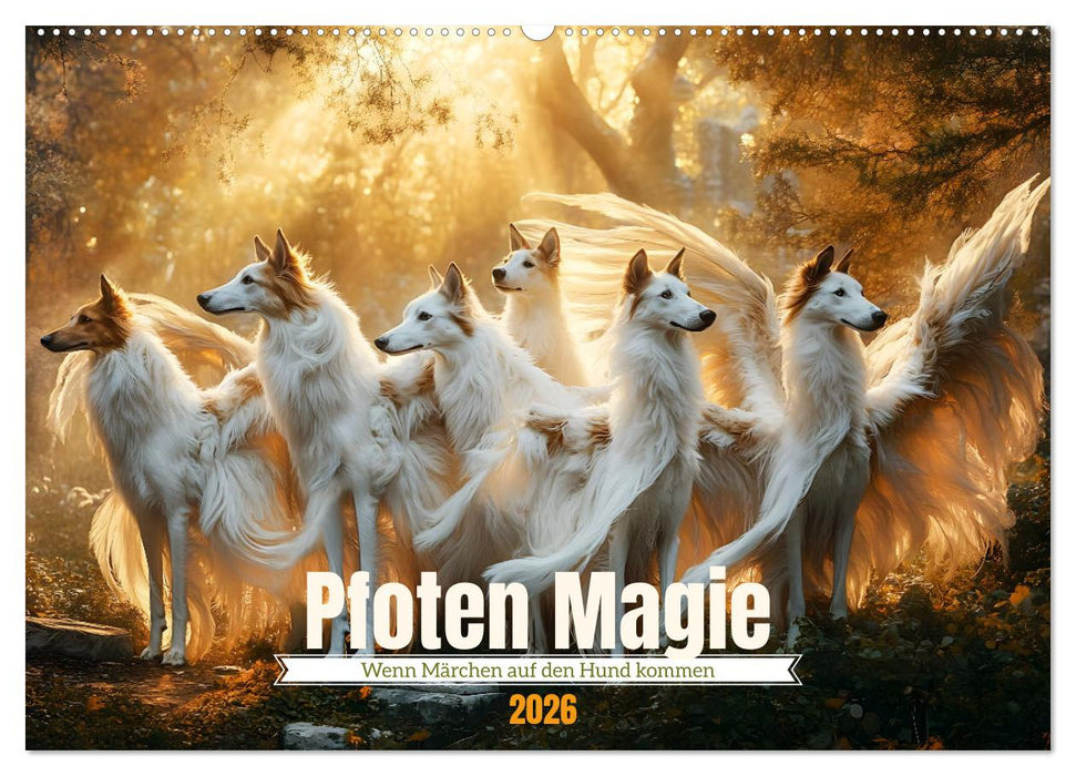 Pfoten Magie (CALVENDO Wandkalender 2026)