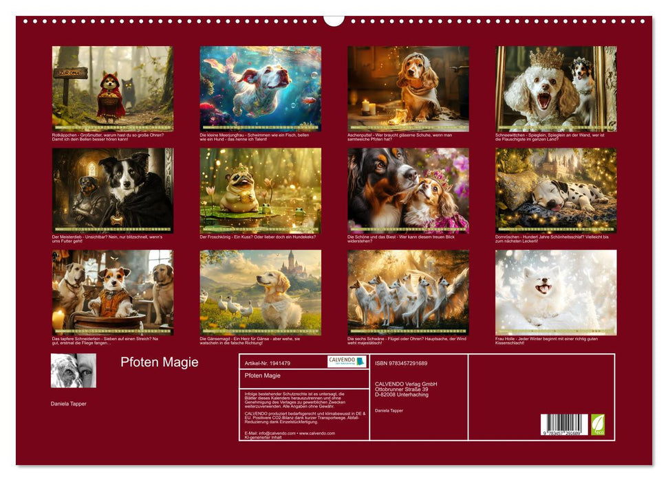 Pfoten Magie (CALVENDO Wandkalender 2026)