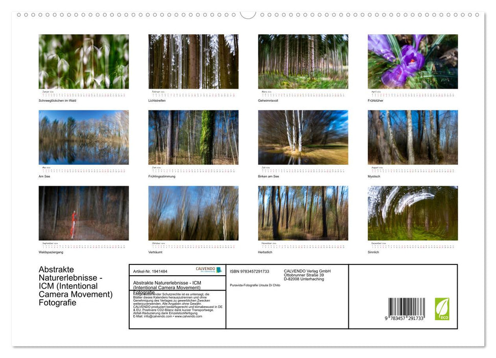 Abstrakte Naturerlebnisse - ICM (Intentional Camera Movement) Fotografie (CALVENDO Premium Wandkalender 2026)