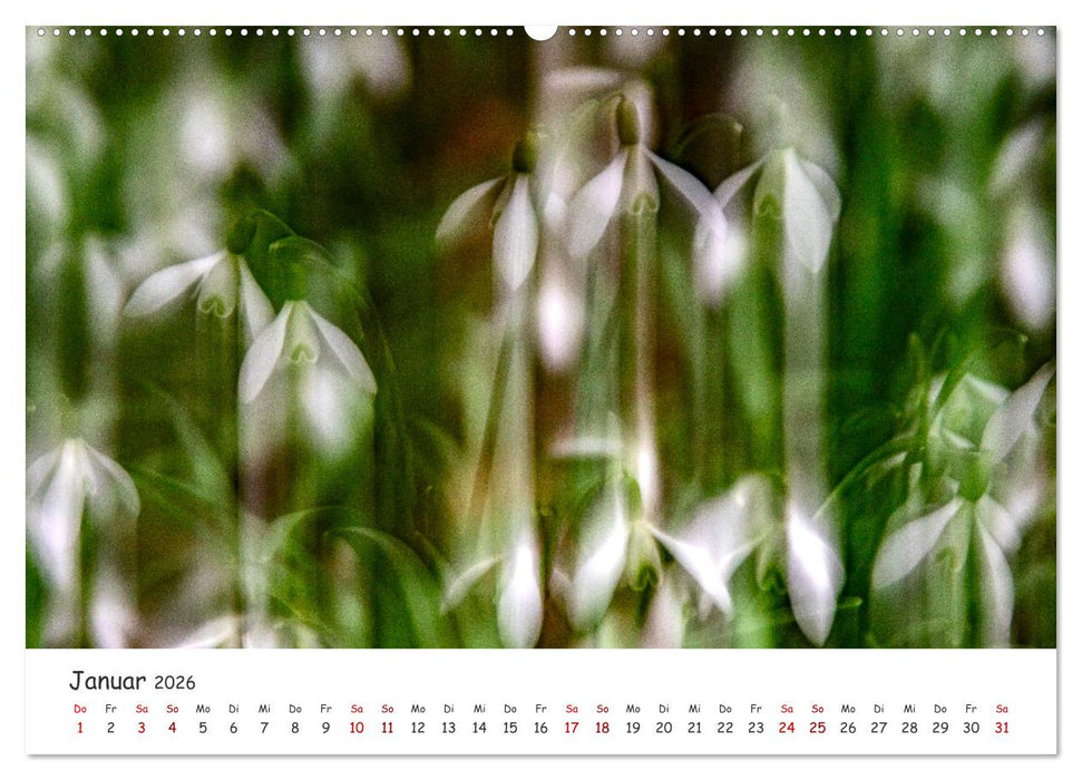 Abstrakte Naturerlebnisse - ICM (Intentional Camera Movement) Fotografie (CALVENDO Premium Wandkalender 2026)