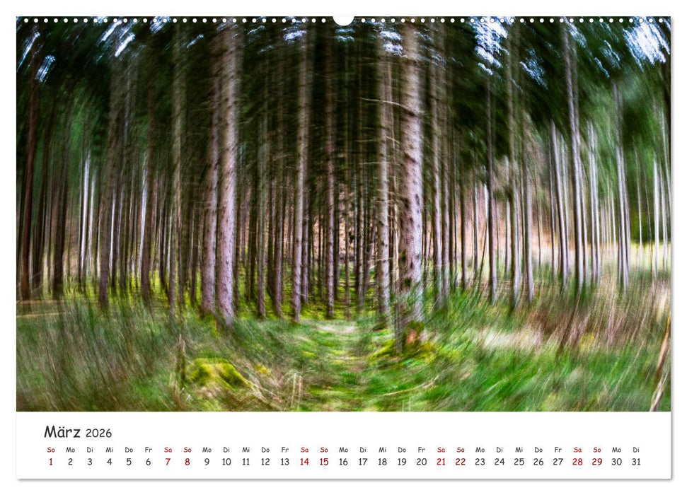 Abstrakte Naturerlebnisse - ICM (Intentional Camera Movement) Fotografie (CALVENDO Premium Wandkalender 2026)