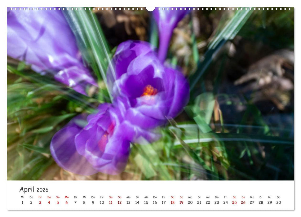 Abstrakte Naturerlebnisse - ICM (Intentional Camera Movement) Fotografie (CALVENDO Premium Wandkalender 2026)