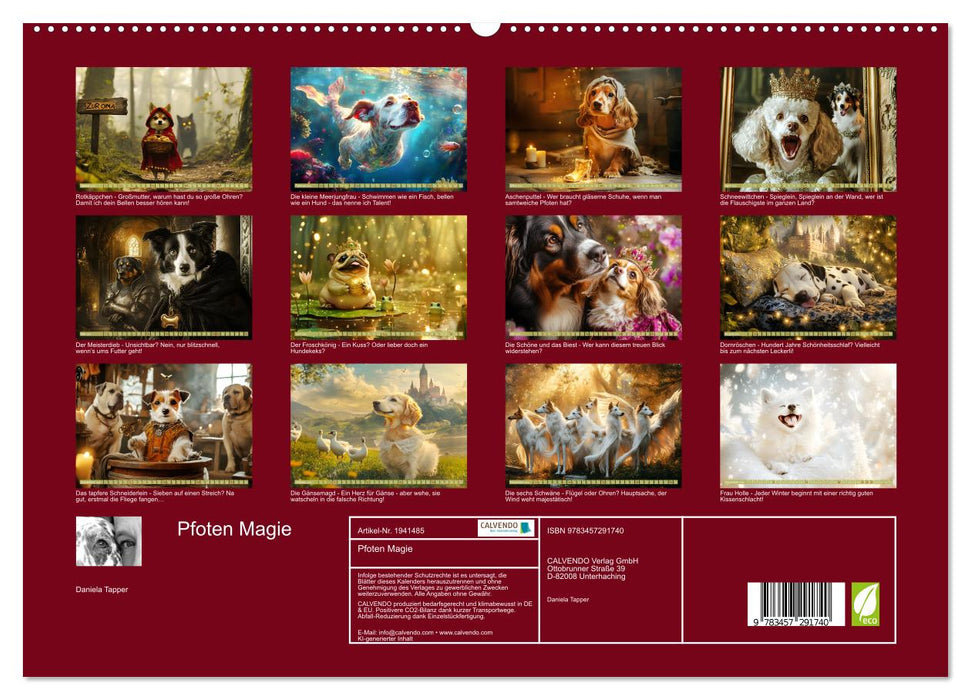 Pfoten Magie (CALVENDO Premium Wandkalender 2026)