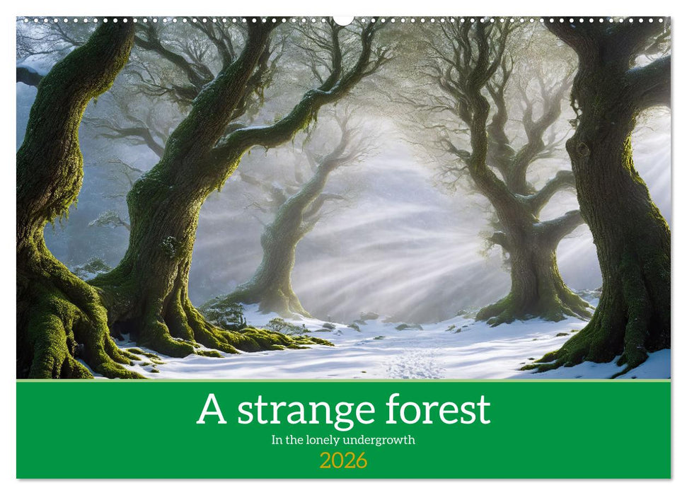 A strange forest In the lonely undergrowth (CALVENDO Monthly Calendar 2026)