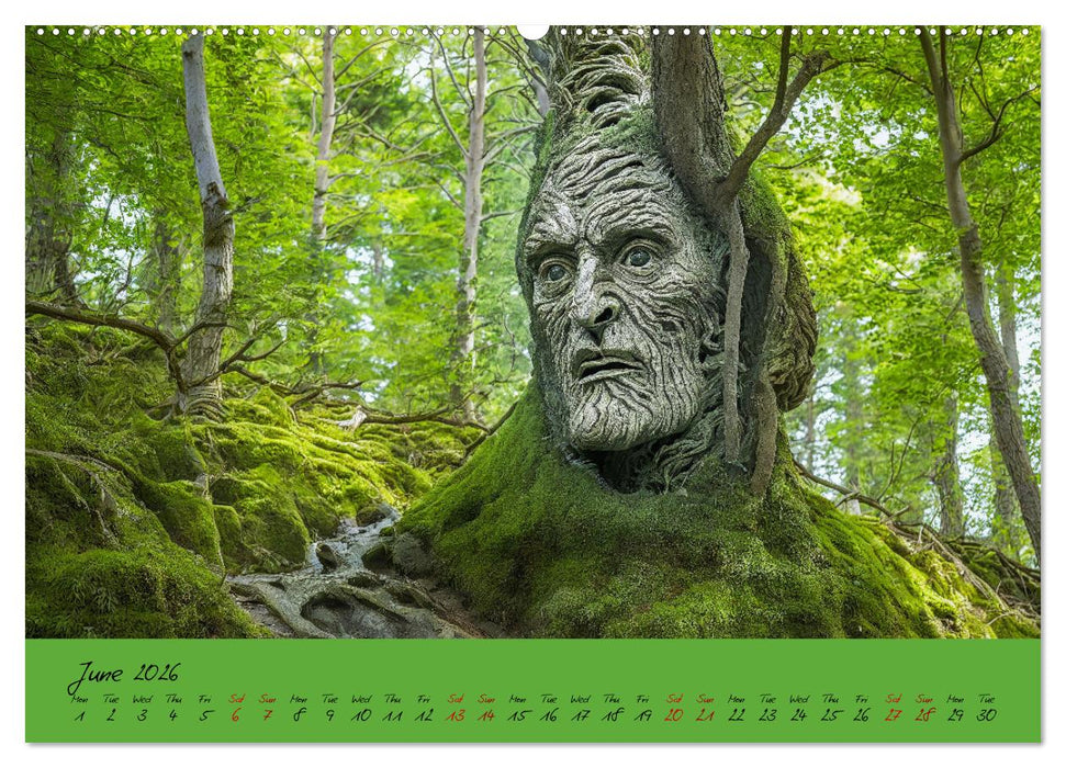 A strange forest In the lonely undergrowth (CALVENDO Monthly Calendar 2026)