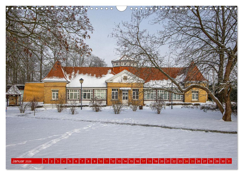 Es gibt nur ein Leben: Fallersleben. (CALVENDO Wandkalender 2026)