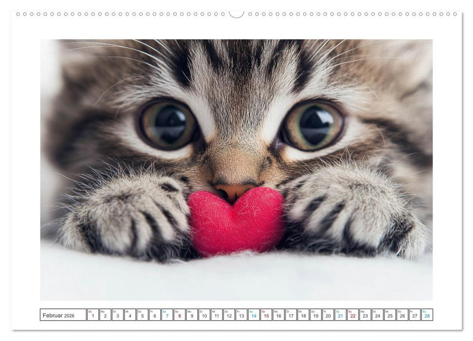 Samtpfoten-Sinfonie (CALVENDO Wandkalender 2026)