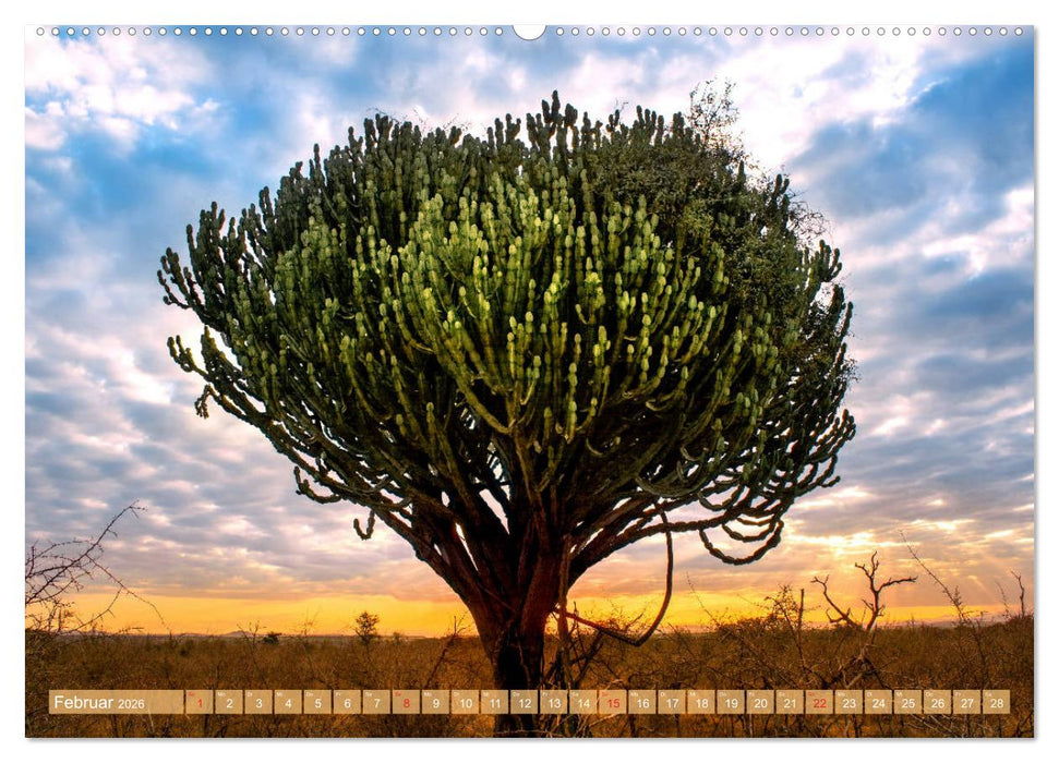 Eswatini - Königreich im südlichen Afrika (CALVENDO Premium Wandkalender 2026)