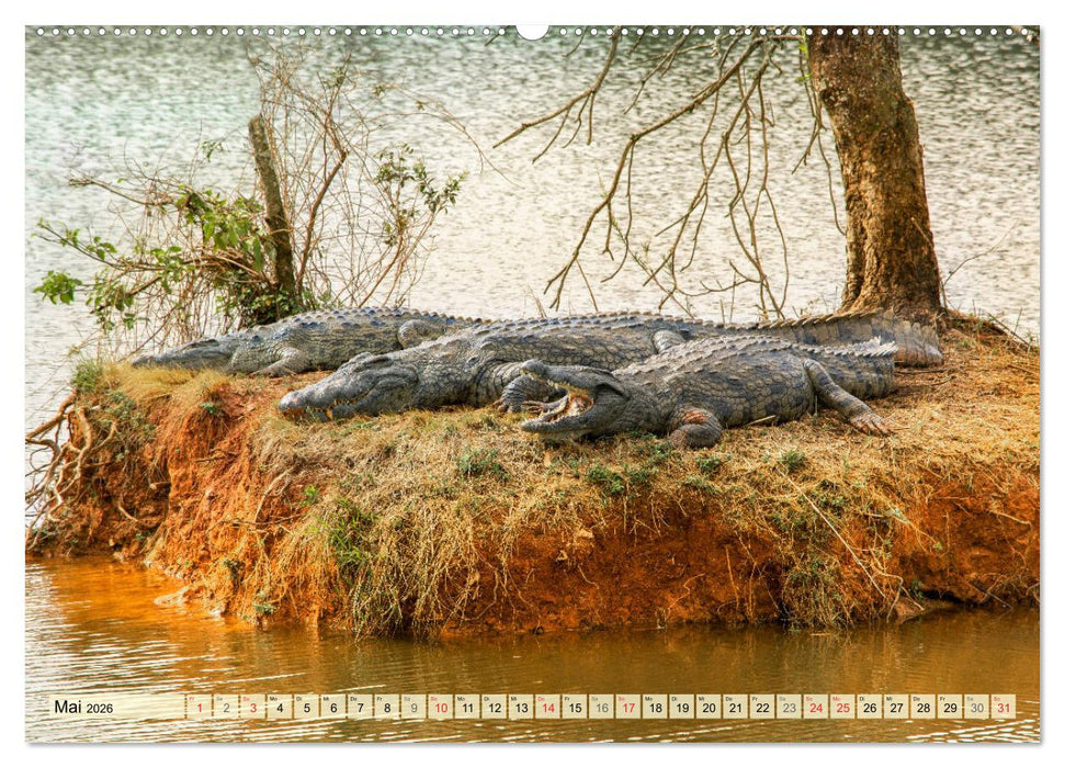 Eswatini - Königreich im südlichen Afrika (CALVENDO Premium Wandkalender 2026)