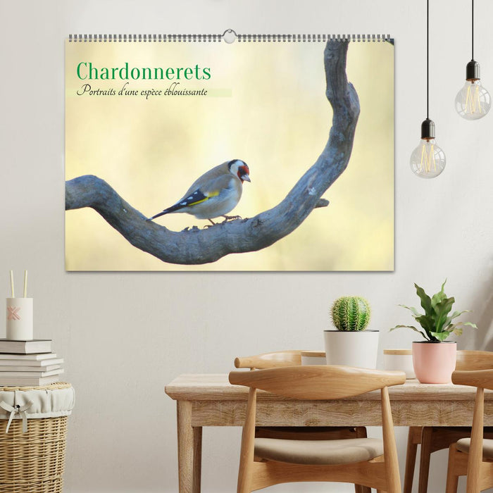 Chardonnerets - Portraits d'une espèce éblouissante (CALVENDO Calendrier mensuel 2026)
