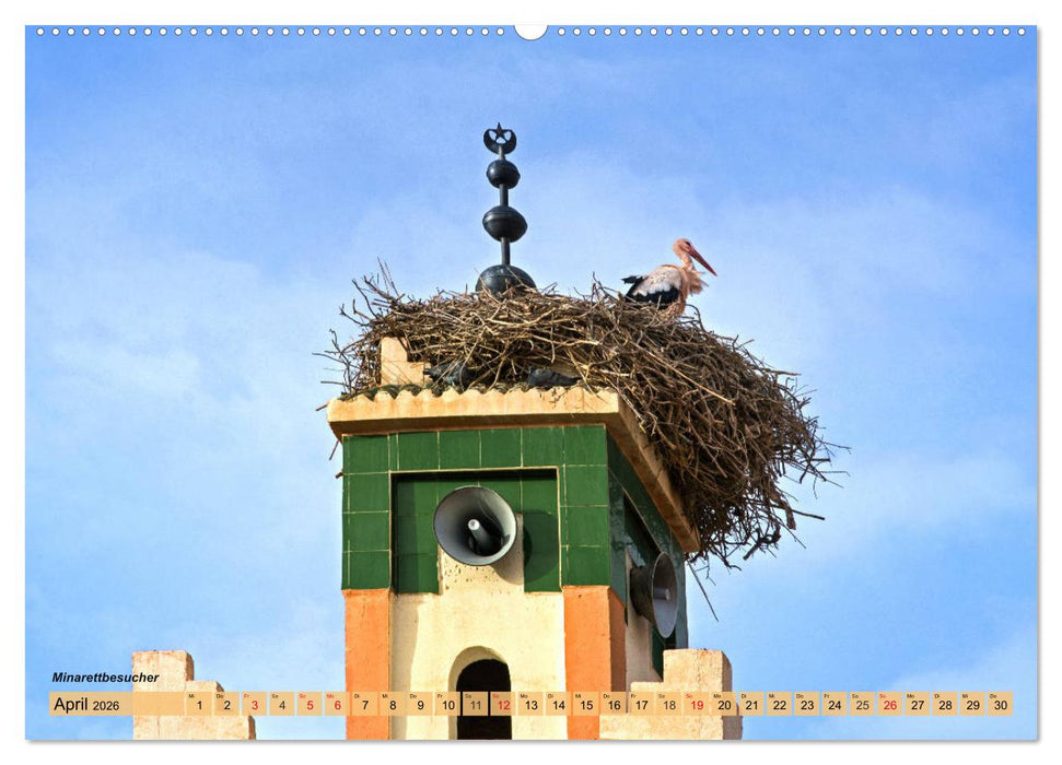 Marokko – Symphonie aus Licht und Farben (CALVENDO Wandkalender 2026)