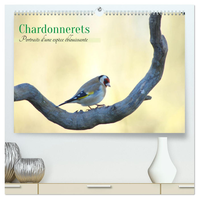 Chardonnerets - Portraits d'une espèce éblouissante (CALVENDO Calendrier supérieur 2026)