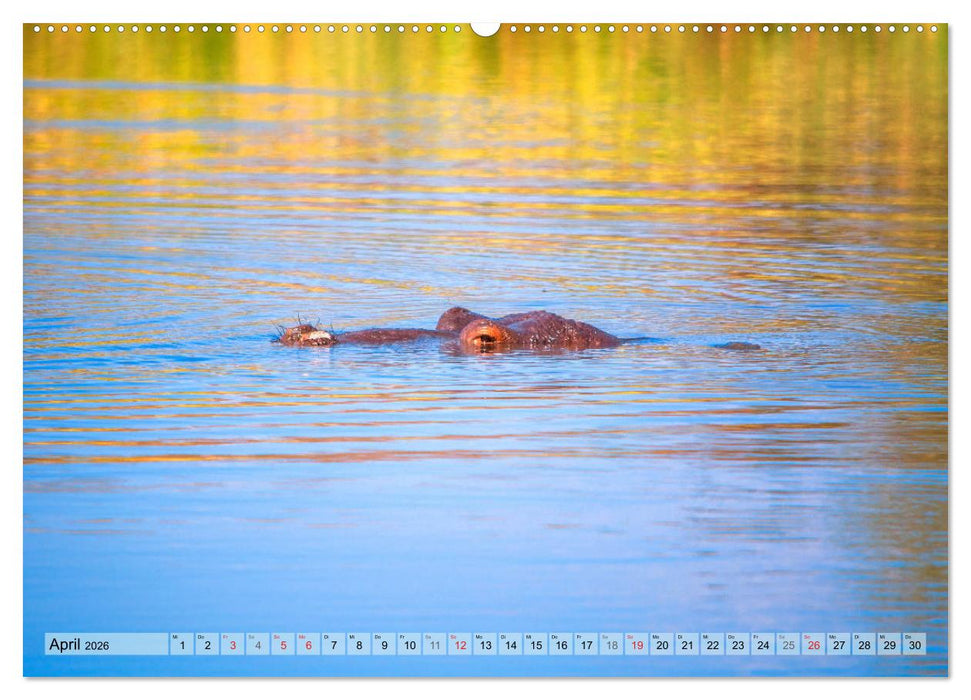 Eswatini - Königreich im südlichen Afrika (CALVENDO Wandkalender 2026)