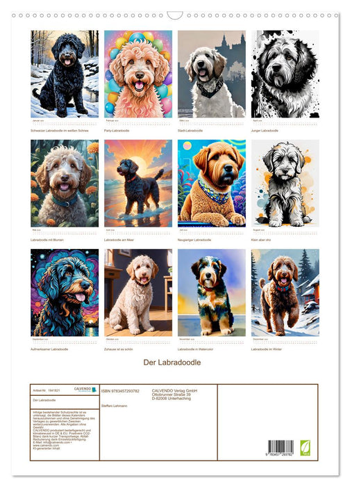Der Labradoodle (CALVENDO Wandkalender 2026)