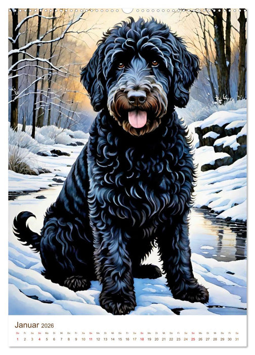Der Labradoodle (CALVENDO Premium Wandkalender 2026)