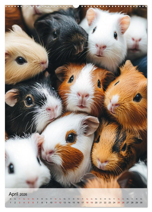 Kuschliges Gewimmel (CALVENDO Premium Wandkalender 2026)