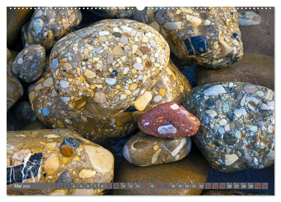 Konglomerate bunte Steine und Wände am Meer (CALVENDO Wandkalender 2026)