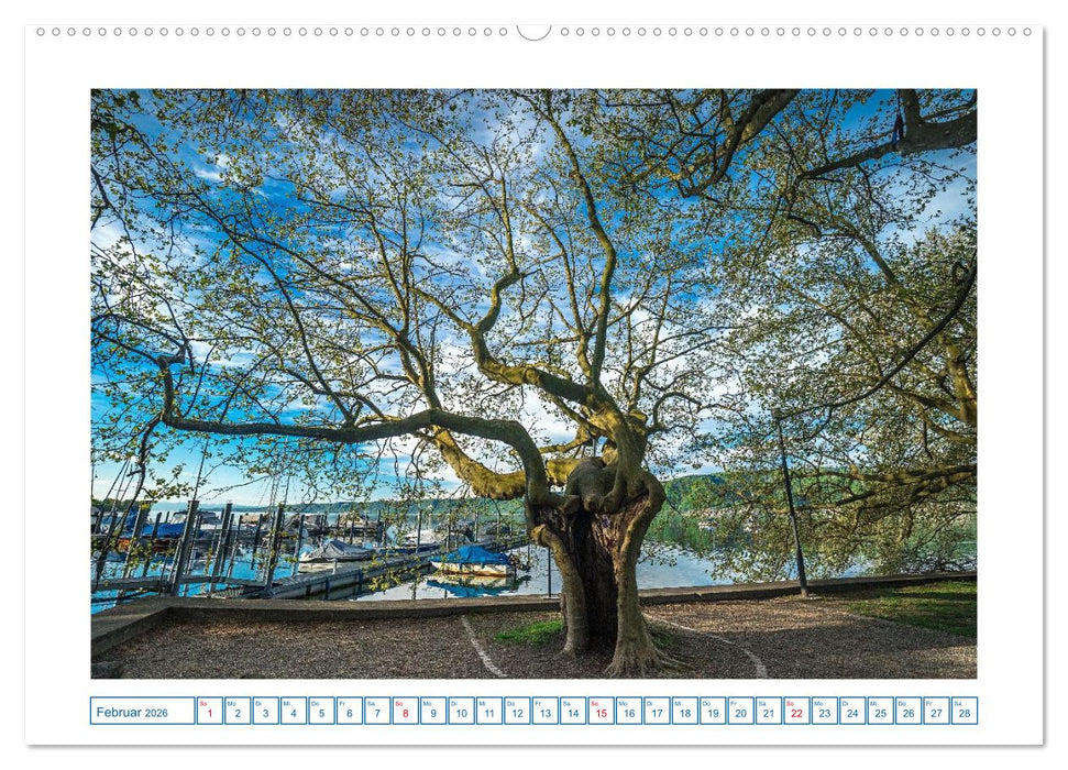 Ludwigshafen am Bodensee (CALVENDO Premium Wandkalender 2026)