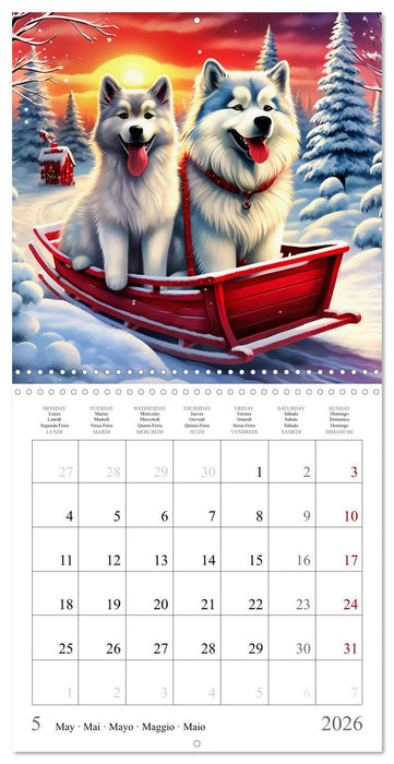 Funny Pets in Winter Landscape (CALVENDO Monthly Calendar 2026)