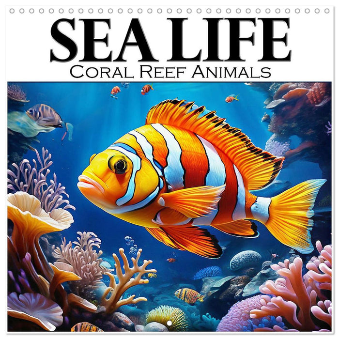 Sea Life - Coral Reef Animals (CALVENDO Monthly Calendar 2026)