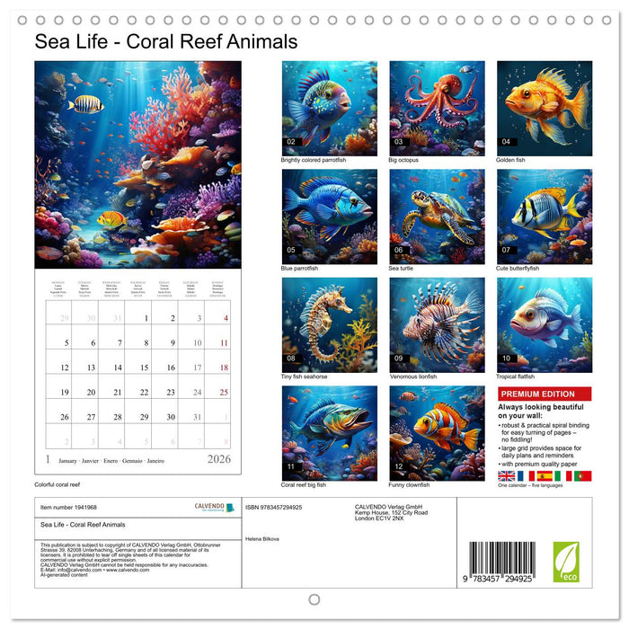 Sea Life - Coral Reef Animals (CALVENDO Monthly Calendar 2026)