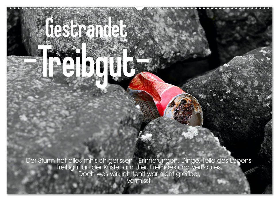Gestrandet -Treibgut- (CALVENDO Wandkalender 2026)