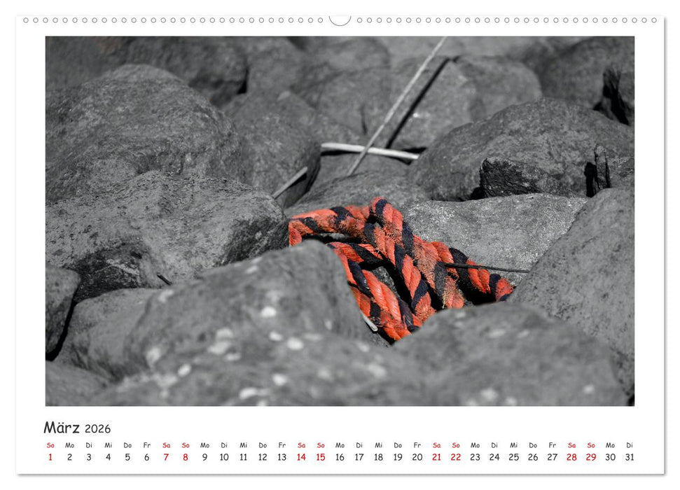 Gestrandet -Treibgut- (CALVENDO Wandkalender 2026)