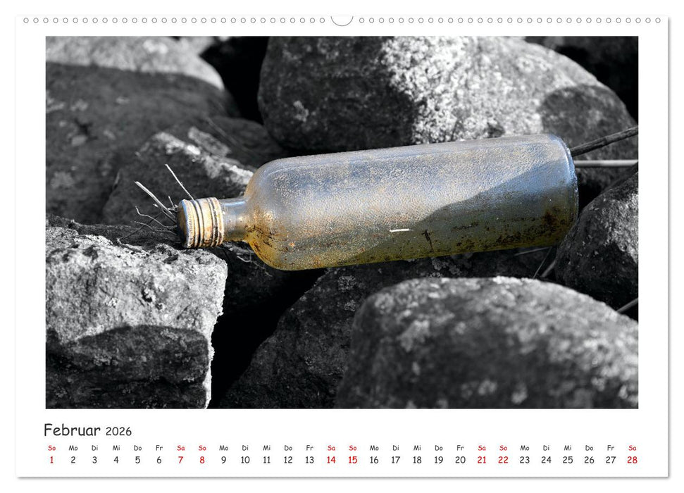Gestrandet -Treibgut- (CALVENDO Premium Wandkalender 2026)