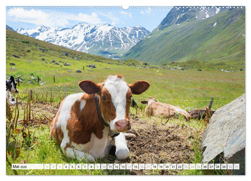 Graubündner Landschaften (CALVENDO Premium Wandkalender 2026)