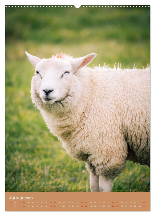 Schönes Hooksiel (CALVENDO Wandkalender 2026)