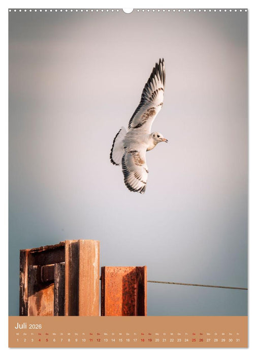 Schönes Hooksiel (CALVENDO Premium Wandkalender 2026)