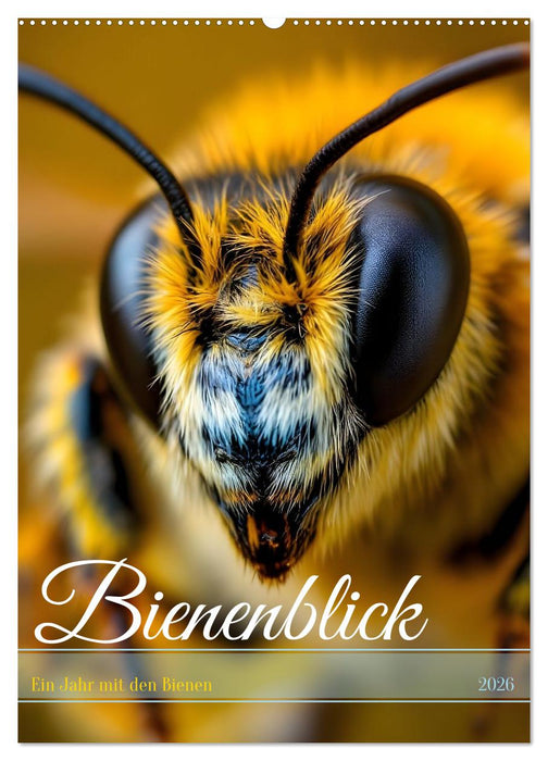 Bienenblick – Ein Jahr mit den Bienen (CALVENDO Wandkalender 2026)