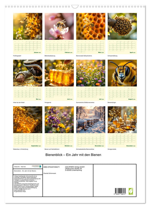 Bienenblick – Ein Jahr mit den Bienen (CALVENDO Wandkalender 2026)