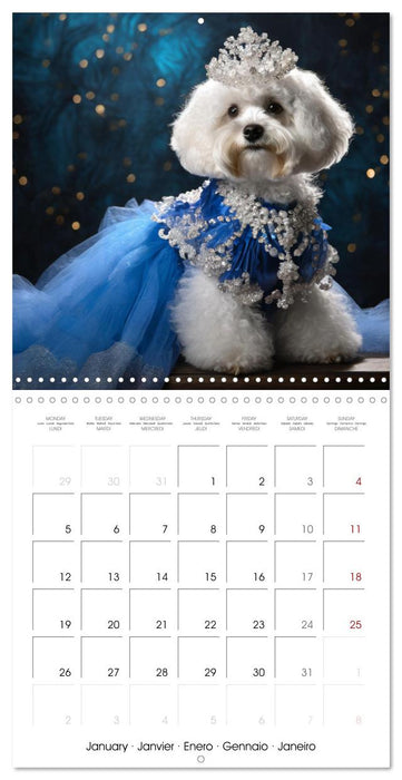 Grand Divas of the Dog World (CALVENDO Monthly Calendar 2026)