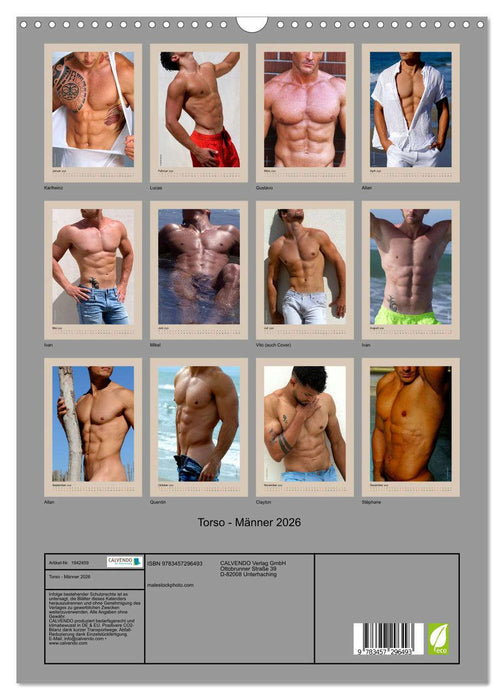 Torso - Männer 2026 (CALVENDO Wandkalender 2026)