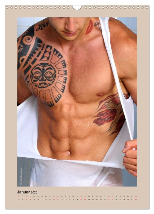 Torso - Männer 2026 (CALVENDO Wandkalender 2026)
