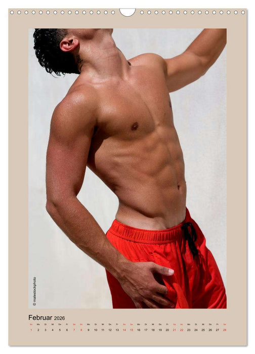 Torso - Männer 2026 (CALVENDO Wandkalender 2026)