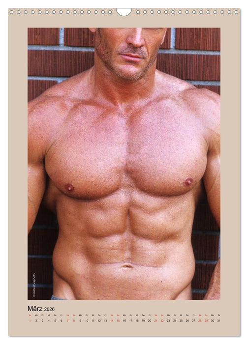 Torso - Männer 2026 (CALVENDO Wandkalender 2026)