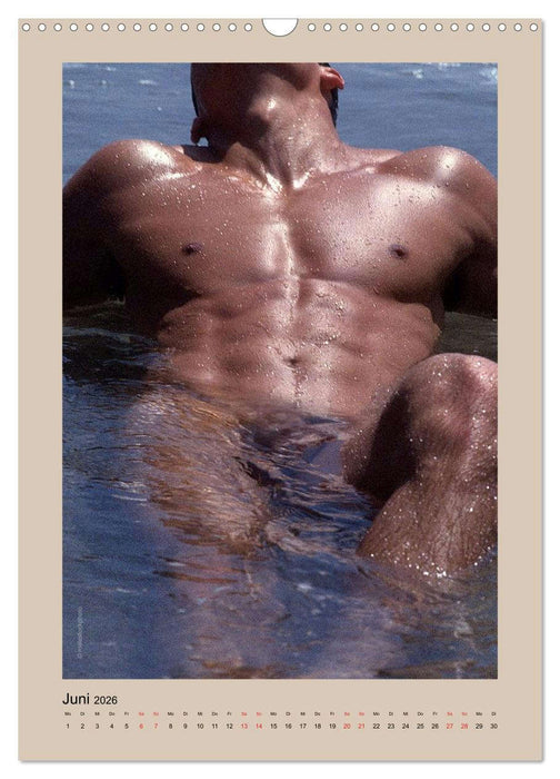 Torso - Männer 2026 (CALVENDO Wandkalender 2026)