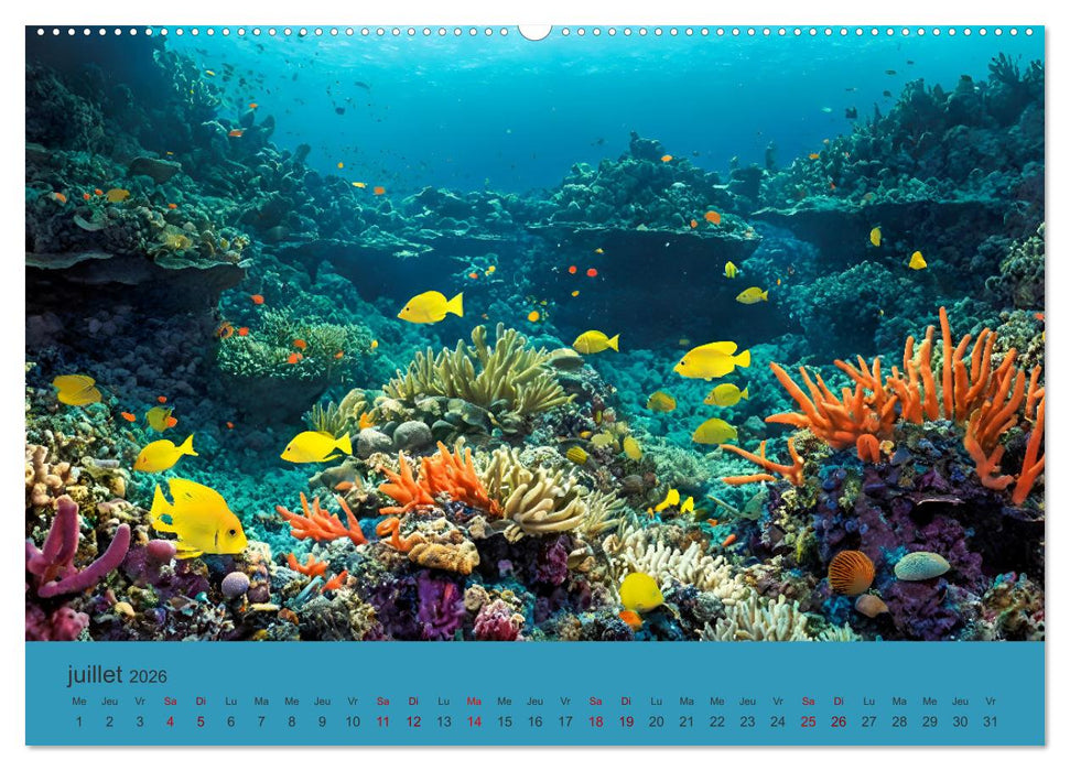 Paysages marins Une plongée fantastique (CALVENDO Calendrier supérieur 2026)
