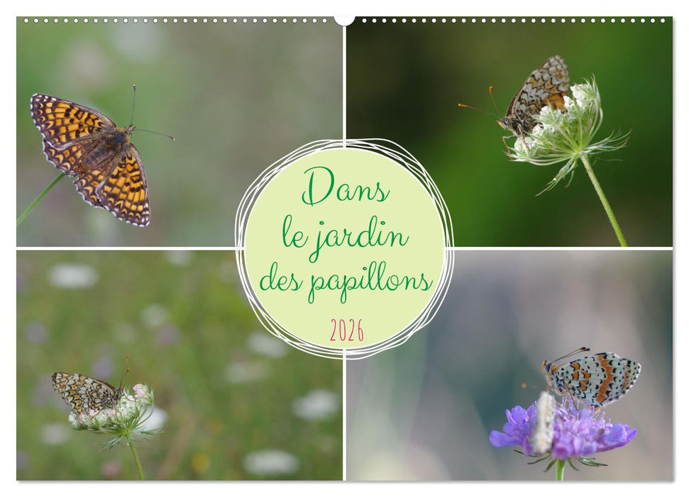 Dans le jardin des papillons (CALVENDO Calendrier mensuel 2026)