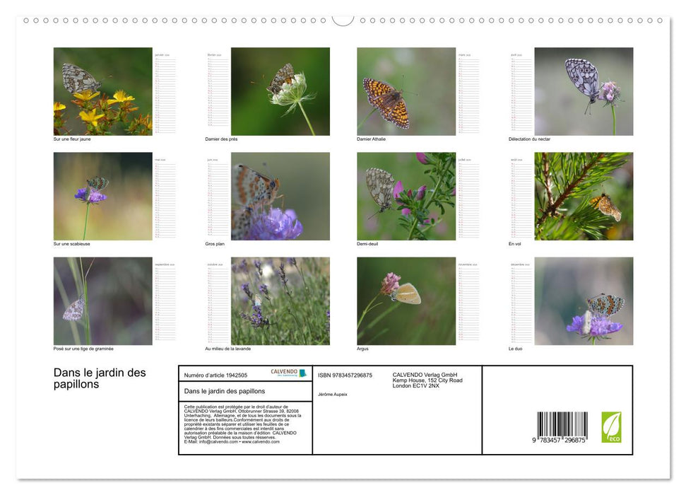 Dans le jardin des papillons (CALVENDO Calendrier supérieur 2026)