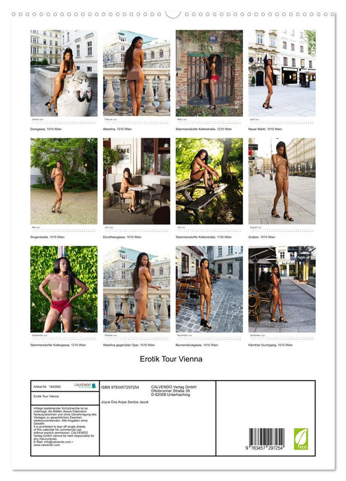 Erotik Tour Vienna (CALVENDO Premium Wandkalender 2026)